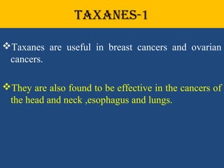taxaneS-1
Taxanes are useful in breast cancers and ovarian
cancers.
They are also found to be effective in the cancers of
the head and neck ,esophagus and lungs.
 