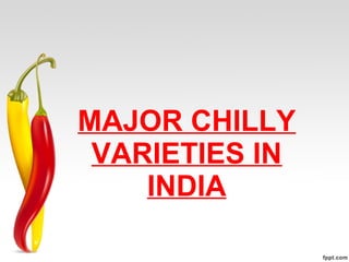 MAJOR CHILLY
VARIETIES IN
INDIA
 