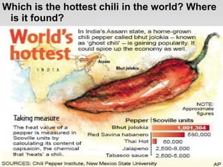 Which is the hottest chili in the world? Where
is it found?
“
 
