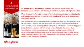 La fermentazione trasforma gli alimenti, con processi dovuti al fatto che il
fermento agisce all'interno dell'alimento, ci sta vivendo, ne ha fatto il proprio habitat.
Molte di queste trasformazioni rendono l'alimento interessante da un punto di vista
nutrizionale: sono alimenti in qualche modo "predigeriti" e contenenti ad esempio
interessanti enzimi.
Uno di questi enzimi, ad esempio, rende possibile assumere latti fermentati anche a
chi non tollera il lattosio, che in questo modo non rinuncia a un'importante fonte di
calcio. In altre parole, chi non può bere latte per via del lattosio è possibile che possa
tranquillamente assumere latti fermentati, perché il lattosio che rimane dopo
fermentazione (che è comunque meno rispetto a quello presente nel latte di
partenza, in quanto la fermentazione ne ha convertito buona parte in acido lattico)
viene ingerito in presenza proprio di quell’enzima che permette di digerirlo (e che
manca a chi è intollerante al lattosio).

FERMENTAZIONE È
TRASFORMAZIONE
 