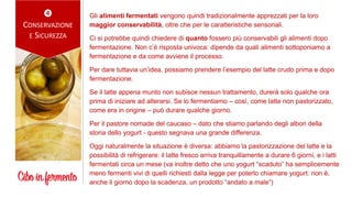 
CONSERVAZIONE
E SICUREZZA
Gli alimenti fermentati vengono quindi tradizionalmente apprezzati per la loro
maggior conservabilità, oltre che per le caratteristiche sensoriali.
Ci si potrebbe quindi chiedere di quanto fossero più conservabili gli alimenti dopo
fermentazione. Non c’è risposta univoca: dipende da quali alimenti sottoponiamo a
fermentazione e da come avviene il processo.
Per dare tuttavia un’idea, possiamo prendere l’esempio del latte crudo prima e dopo
fermentazione.
Se il latte appena munto non subisce nessun trattamento, durerà solo qualche ora
prima di iniziare ad alterarsi. Se lo fermentiamo – così, come latte non pastorizzato,
come era in origine – può durare qualche giorno.
Per il pastore nomade del caucaso – dato che stiamo parlando degli albori della
storia dello yogurt - questo segnava una grande differenza.
Oggi naturalmente la situazione è diversa: abbiamo la pastorizzazione del latte e la
possibilità di refrigerare: il latte fresco arriva tranquillamente a durare 6 giorni, e i latti
fermentati circa un mese (va inoltre detto che uno yogurt “scaduto” ha semplicemente
meno fermenti vivi di quelli richiesti dalla legge per poterlo chiamare yogurt: non è,
anche il giorno dopo la scadenza, un prodotto “andato a male”)
 