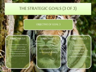 THE STRATEGIC GOALS (3 OF 3)
OBJECTIVEOF GOAL3
OBJECTIVE3.1
CooperationbetweenCITESand
financialmechanismshas
improvedinordertosupport
CITES-relatedconservation
withoutdecreasingfundingfor
currentlyprioritizedactivities.
OBJECTIVE3.2
awareness of the role
and purpose of CITES
is increased globally.
OBJECTIVE3.3
Cooperation with
international
enviromental, trade and
development
organizations is increased.
 