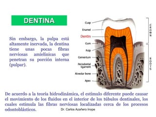 Clase 15 El Diente