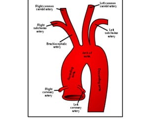 U3 C1 Corazon