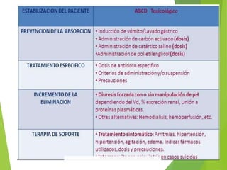 CLASE 2.pptxBNBBBBBBBBBBBBBBBBBBBBBBBBBBB