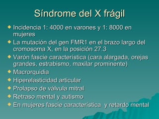 Síndrome del X frágil Incidencia 1: 4000 en varones y 1: 8000 en mujeres La mutación del gen FMR1 en el brazo largo del cromosoma X, en la posición 27.3 Varón fascie característica (cara alargada, orejas grandes, estrabismo, maxilar prominente)  Macrorquidia Hiperelasticidad articular Prolapso de válvula mitral Retraso mental y autismo En mujeres fascie característica  y retardo mental 