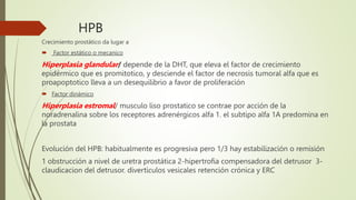 HPB
Crecimiento prostático da lugar a
 Factor estático o mecanico
Hiperplasia glandular/ depende de la DHT, que eleva el factor de crecimiento
epidérmico que es promitotico, y desciende el factor de necrosis tumoral alfa que es
proapoptotico lleva a un desequilibrio a favor de proliferación
 Factor dinámico
Hiperplasia estromal/ musculo liso prostatico se contrae por acción de la
noradrenalina sobre los receptores adrenérgicos alfa 1. el subtipo alfa 1A predomina en
la prostata
Evolución del HPB: habitualmente es progresiva pero 1/3 hay estabilización o remisión
1 obstrucción a nivel de uretra prostática 2-hipertrofia compensadora del detrusor 3-
claudicacion del detrusor. divertículos vesicales retención crónica y ERC
 