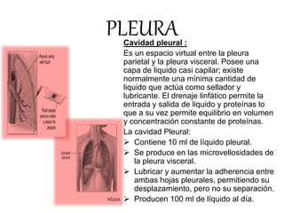 Cavidad pleural :
Es un espacio virtual entre la pleura
parietal y la pleura visceral. Posee una
capa de liquido casi capilar; existe
normalmente una mínima cantidad de
liquido que actúa como sellador y
lubricante. El drenaje linfático permite la
entrada y salida de liquido y proteínas lo
que a su vez permite equilibrio en volumen
y concentración constante de proteínas.
La cavidad Pleural:
 Contiene 10 ml de líquido pleural.
 Se produce en las microvellosidades de
la pleura visceral.
 Lubricar y aumentar la adherencia entre
ambas hojas pleurales, permitiendo su
desplazamiento, pero no su separación.
 Producen 100 ml de líquido al día.
PLEURA
 