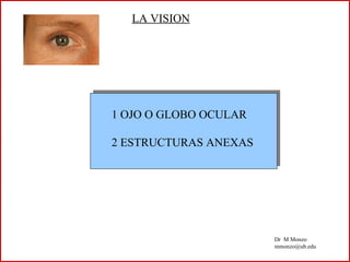 LA VISION 
1 OJO O GLOBO OCULAR 
2 ESTRUCTURAS ANEXAS 
Dr M Monzo 
mmonzo@ub.edu 
 
