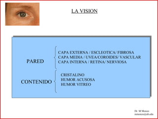 LA VISION 
Dr M Monzo 
mmonzo@ub.edu 
PARED 
CAPA EXTERNA / ESCLEOTICA/ FIBROSA 
CAPA MEDIA / UVEA/COROIDES/ VASCULAR 
CAPA INTERNA / RETINA/ NERVIOSA 
CONTENIDO 
CRISTALINO 
HUMOR ACUSOSA 
HUMOR VITREO 
 