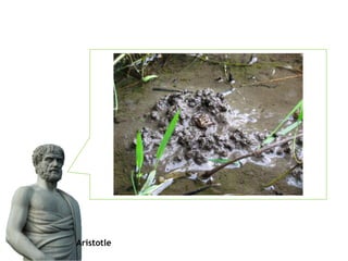Aristotle
 
