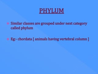  Similar classes are grouped under next category
called phylum
 Eg:- chordata [ animals having vertebral column ]
 