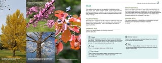 CLEVELAND TREE PLAN 2020: TREE SELECTION GUIDE 17
CLEVELAND TREE PLAN 2020: TREE SELECTION GUIDE 16
VALUE
This section includes trees that are beneficial to pollinators such as
bees, moths, birds, beetles and other wildlife. It also includes trees that
provide sheer enjoyment to people in the form of showy flowers, unique
bark, displays of fruit/fall color or provide an interesting backdrop to the
winter landscape.
POLLINATOR FRIENDLY
Many trees have flowers that provide nutrient-rich pollen and nectar and
are a critical source of forage for many pollinators such as bees, birds,
beetles, moths and butterflies. Trees in this category are known to
support pollinators.
ORNAMENTAL VALUE
Trees in this category display the following noteworthy
aesthetic attributes:
Flower
Although all angiosperm trees flower, some are more conspicuous
than others. Trees in this category are often selected for their showy
flowers which are in bloom for one to three weeks in spring to early
summer. In rarer instances some trees bloom in fall.
Fruit
Trees in this category have unique fruit of interest
Fall Foliage
Trees in noted in this category display strong autumn foliage in yel-
low, orange, red, and/or purple.  Leaf color can create
interesting views.  
Winter Interest
Trees in this category display interesting foliage, form, structure
or fruit through the dormant season.
Bark
Trees in this category display unique bark that can be used as
an identification feature and described as exfoliating, mottled or
striped to name a few.
NATIVE TO EASTERN US
Trees in this category are native to states east of the Mississippi, but
not including small portions of Louisiana and Minnesota. According to
The United States Department of Agriculture (USDA) Natural Resources
Conservation Service, only plants found in the United States before
European settlement are considered to be native.  
ADDITIONAL NOTES
This section expands on a unique feature or adaptability trait worth
mentioning, such as the tree’s resistance to disease
or edibility.
Redbud (Cercis canadensis) flowers
decorate leafless branches in spring.
The flowers are edible too.
Photo Credit: CBlashka
Fall foliage on a black gum (Nyssa sylvatica)
Fall foliage on a ginkgo (Gingko biloba).
(Phot0 Cred: Margeaux Apple)
Redbud (Cercis canadensis) flowers decorate
leafless branches in spring. The flowers are
edible too. (Photo credit: CBlashka)
Horizontally peeling bark on river birch (Betula nigra
[Heritage]) May 2020 (Photo Cred: Margeaux Apple)
 