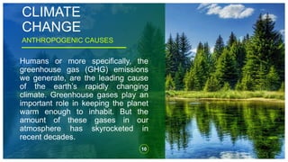 CLIMATE
CHANGE
10
ANTHROPOGENIC CAUSES
Humans or more specifically, the
greenhouse gas (GHG) emissions
we generate, are the leading cause
of the earth’s rapidly changing
climate. Greenhouse gases play an
important role in keeping the planet
warm enough to inhabit. But the
amount of these gases in our
atmosphere has skyrocketed in
recent decades.
 