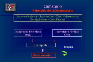 Climaterio Patogenia de la Osteoporosis Factores Genéticos - Sedentarismo - Dieta - Menopausia - Envejecimiento - Otros Factores Inadecuado Pico Masa Osea Incremento Pérdida Osea Osteopenia Osteoporosis Trauma 