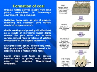 Formation of coal
Organic matter derived mostly from land
plants accumulates in low-energy
environment (like a swamp).
Oxidative decay uses up lots of oxygen,
rendering the sediment pore waters
devoid of oxygen (anoxic).
Gentle cooking and pressing (lithification)
as a result of increasing burial depth
remove the pore water and increase
carbon content (due to release of volatile
components of the organic molecules).
Low grade coal (lignite) cooked very little.
High grade coal (anthracite) cooked a lot
(close to being a metamorphic rock).
Lower grade coal tends to contain
minerals such as pyrite, which formed
under the reducing (low-oxygen)
conditions.
 