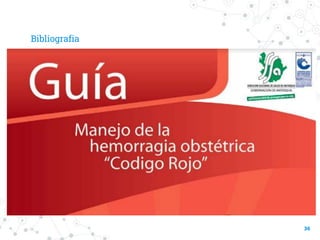 Bibliografia
36
 