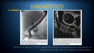 DIAGNÓSTICO
Farreras P. & Rozman C.. (2012). Capítulo 30. Ictericias y enfermedades de la vías biliares. En
Medicina interna (pp. 255-257). Barcelona, España: Elsevier.
4. IMAGEN
 