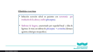 Fármacos Colinérgicos Anticolinergicos.pptx