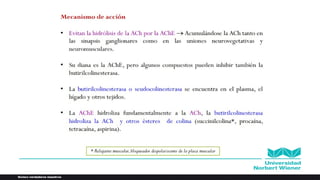 Fármacos Colinérgicos Anticolinergicos.pptx