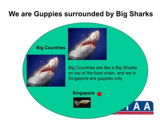 Big Countries are like a Big Sharks
on top of the food chain, and we in
Singapore are guppies only
Big Countries
Singapore
We are Guppies surrounded by Big Sharks
 