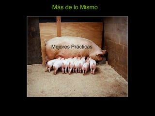 Más de lo Mismo!




Mejores Prácticas
 
