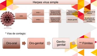 49
Herpes virus simple
VHS
VHS-1
INFECCIONES
HERPETICAS
NO GENITALES
Herpes labial
gingivoestomatitis
keratoconjuntivitis
Se adquiere en la
infancia
VHS-2
INFECCIONES
HERPETICAS
GENITALES
Herpes genital
Se adquiere al
iniciar relaciones
sexuales
Oro-oral Oro-genital
Genito-
genital
** Fómites
* Vías de contagio:
 