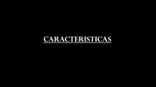 CARACTERISTICAS
 