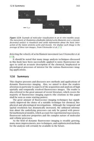 12.6 Summary                                                             343




Figure 12.9: Example of molecular visualization in an in vitro motility assay.
The movement of rhodamine-phalloidin labeled actin ﬁlaments over a myosin-
decorated surface is visualized and yields information about the basic inter-
action of the motor proteins actin and myosin. For display each image is the
average of three raw images. From Uttenweiler et al. [35].


detecting the velocity of actin ﬁlament movement (see Uttenweiler et al.
[35]).
    It should be noted that many image analysis techniques discussed
in this book have been successfully applied to noisy ﬂuorescence im-
ages to yield an accurate description of the chemical, biophysical or
physiological processes of interest for the various ﬂuorescence imag-
ing applications.


12.6 Summary

This chapter presents and discusses new methods and applications of
dynamic ﬂuorescence imaging. Also, we aimed to draw the readers
attention in particular to aspects of the acquisition and analysis of high
spatially and temporally resolved ﬂuorescence images. The reader is
also referred to the great amount of recent literature, which covers the
majority of ﬂuorescence imaging aspects (the citations in this paper
shall be seen as some starting points).
    The great amount of ﬂuorescence imaging techniques has signiﬁ-
cantly improved the choice of a suitable technique for chemical, bio-
physical and physiological investigations. Although the temporal and
spatial resolution has dramatically increased, the unbiased informa-
tion about the underlying processes can only be gained with power-
ful mathematical models, which account for experimental inaccuracies,
ﬂuorescent indicator properties and the complex nature of molecular
and cellular processes.
    As the ﬁeld of dynamic ﬂuorescence imaging is steadily growing,
many more improvements, new techniques, and sophisticated methods
for the analysis will certainly be available in the future.
 