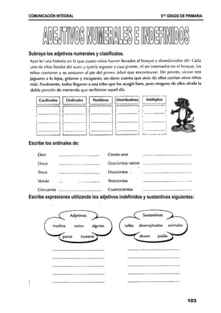 C
CO
OM
MU
UN
NI
IC
CA
AC
CI
IÓ
ÓN
N I
IN
NT
TE
EG
GR
RA
AL
L 6
6T
TO
O
G
GR
RA
AD
DO
O D
DE
E P
PR
RI
IM
MA
AR
RI
IA
A
103
Subraya los adjetivos numerales y clasifícalos.
Escribe los ordinales de:
Escribe expresiones utilizando los adjetivos indefinidos y sustantivos siguientes:
 