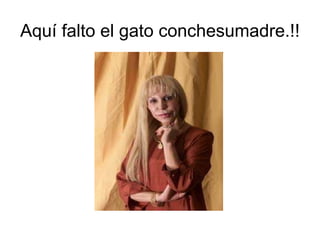 Aquí falto el gato conchesumadre.!! 
