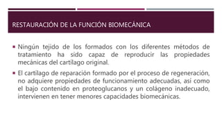 RESTAURACIÓN DE LA FUNCIÓN BIOMECÁNICA
 Ningún tejido de los formados con los diferentes métodos de
tratamiento ha sido capaz de reproducir las propiedades
mecánicas del cartílago original.
 El cartílago de reparación formado por el proceso de regeneración,
no adquiere propiedades de funcionamiento adecuadas, así como
el bajo contenido en proteoglucanos y un colágeno inadecuado,
intervienen en tener menores capacidades biomecánicas.
 