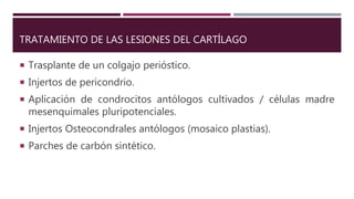 TRATAMIENTO DE LAS LESIONES DEL CARTÍLAGO
 Trasplante de un colgajo perióstico.
 Injertos de pericondrio.
 Aplicación de condrocitos antólogos cultivados / células madre
mesenquimales pluripotenciales.
 Injertos Osteocondrales antólogos (mosaico plastias).
 Parches de carbón sintético.
 
