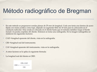 Método radiográfico de Bregman
✤ En este método se prepararon sondas planas de 25 mm de longitud. Cada uno tenía una lámina de acero
fijada con resina acrílica como tope, dejando un segmento libre de 10 mm para la colocación en el
conducto radicular. Esta sonda es colocada en el diente hasta que el extremo metálico toque el borde
incisal o la punta cuspídea del diente. Entonces se toma una radiografía. En la imagen radiográfica se
midieron los siguientes factores:
✤ CAD =longitud aparente del diente, vista en la radiografía.
✤ CRI =longitud real del instrumento.
✤ CAÍ =longitud aparente del instrumento, vista en la radiografía.
✤ A estos factores se le aplica la siguiente fórmula:
✤ La longitud real del diente es CRD:
 
