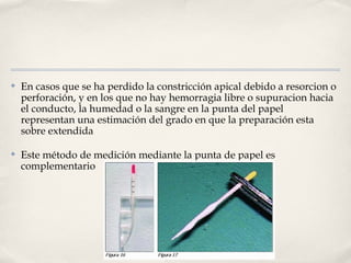 ✤ En casos que se ha perdido la constricción apical debido a resorcion o
perforación, y en los que no hay hemorragia libre o supuracion hacia
el conducto, la humedad o la sangre en la punta del papel
representan una estimación del grado en que la preparación esta
sobre extendida
✤ Este método de medición mediante la punta de papel es
complementario
 