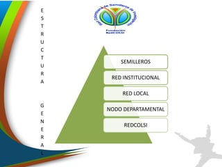 SEMILLEROS
RED INSTITUCIONAL
RED LOCAL
NODO DEPARTAMENTAL
REDCOLSI
E
S
T
R
U
C
T
U
R
A
G
E
N
E
R
A
L
 