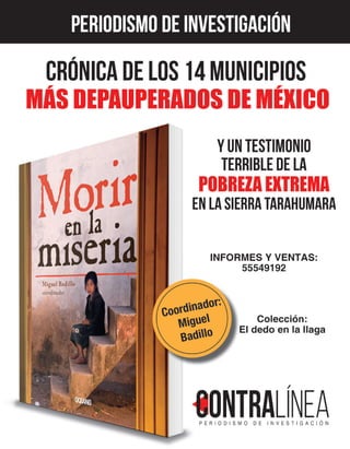 Contralínea 533