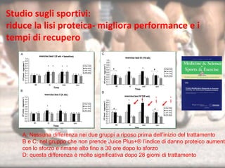 A: Nessuna differenza nei due gruppi a riposo prima dell’inizio del trattamento B e C: nel gruppo che non prende Juice Plus+® l’indice di danno proteico aumenta  con lo sforzo e rimane alto fino a 30 ore dopo lo sforzo D: questa differenza è molto significativa dopo 28 giorni di trattamento Studio sugli sportivi: riduce la lisi proteica- migliora performance e i tempi di recupero JP JP JP 
