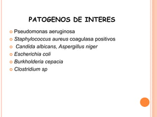 PATOGENOS DE INTERES
 Pseudomonas aeruginosa
 Staphylococcus aureus coagulasa positivos
 Candida albicans, Aspergillus niger
 Escherichia coli
 Burkholderia cepacia
 Clostridium sp
 