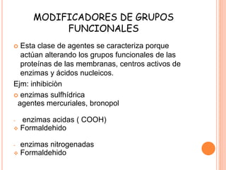 MODIFICADORES DE GRUPOS
FUNCIONALES
 Esta clase de agentes se caracteriza porque
actúan alterando los grupos funcionales de las
proteínas de las membranas, centros activos de
enzimas y ácidos nucleicos.
Ejm: inhibiciòn
 enzimas sulfhídrica
agentes mercuriales, bronopol
- enzimas acidas ( COOH)
 Formaldehido
- enzimas nitrogenadas
 Formaldehido
 