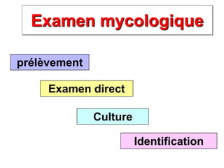 Examen mycologique
prélèvement
Examen direct
Culture
Identification
 