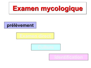 Examen mycologique
prélèvement
Examen direct
Culture
Identification
 