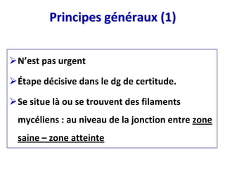 Principes généraux (1)
N’est pas urgent
Étape décisive dans le dg de certitude.
Se situe là ou se trouvent des filaments
mycéliens : au niveau de la jonction entre zone
saine – zone atteinte
 