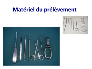 Matériel du prélèvement
 
