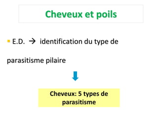 Cheveux et poils
 E.D.  identification du type de
parasitisme pilaire
Cheveux: 5 types de
parasitisme
 