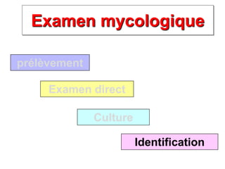 Examen mycologique
prélèvement
Examen direct
Culture
Identification
 