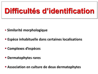  Similarité morphologique
 Espèce inhabituelle dans certaines localisations
 Complexes d’espèces
 Dermatophytes rares
 Association en culture de deux dermatophytes
Difficultés d’identification
 
