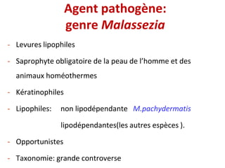 Agent pathogène:
genre Malassezia
- Levures lipophiles
- Saprophyte obligatoire de la peau de l’homme et des
animaux homéothermes
- Kératinophiles
- Lipophiles: non lipodépendante M.pachydermatis
lipodépendantes(les autres espèces ).
- Opportunistes
- Taxonomie: grande controverse
 