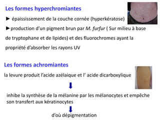 Les formes hyperchromiantes
► épaississement de la couche cornée (hyperkératose)
►production d’un pigment brun par M. furfur ( Sur milieu à base
de tryptophane et de lipides) et des fluorochromes ayant la
propriété d’absorber les rayons UV
Les formes achromiantes
la levure produit l’acide azélaique et l’ acide dicarboxylique
inhibe la synthèse de la mélanine par les mélanocytes et empêche
son transfert aux kératinocytes
d’où dépigmentation
 