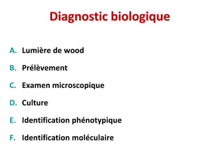 Diagnostic biologique
A. Lumière de wood
B. Prélèvement
C. Examen microscopique
D. Culture
E. Identification phénotypique
F. Identification moléculaire
 